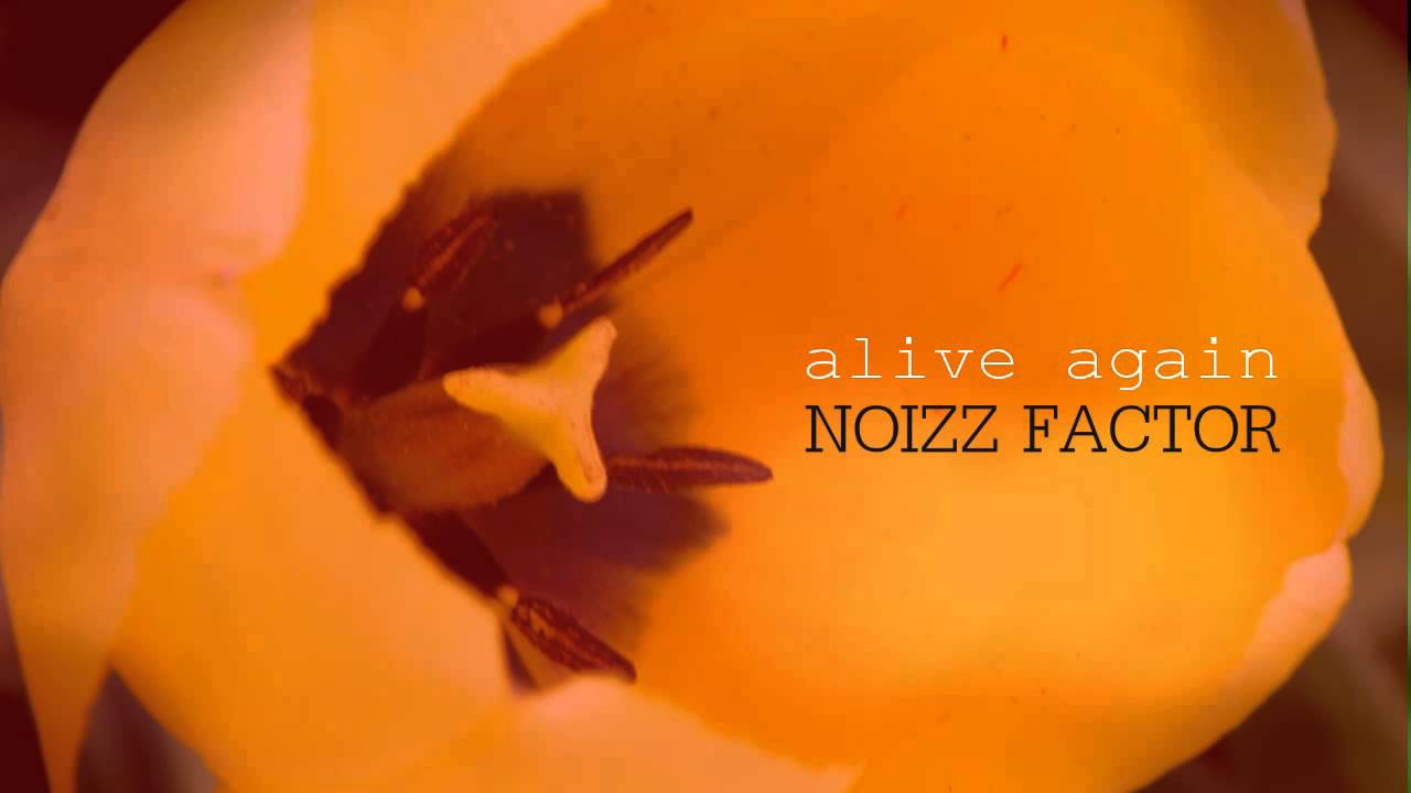 Noizz Factor - Alive Again