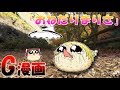 【ゆっくりG漫画】おねだりまりさ