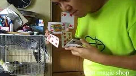 A Little bit of Sybil - Card flourish tutorial