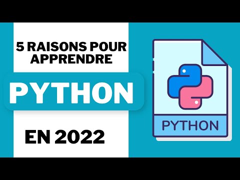 Vidéo: Pourquoi taper en python ?