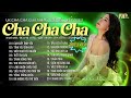 Album cha cha cha rumba nhc tr c bit  cm by tnh yu  cha cha cha nhc tr hot tiktok 2024