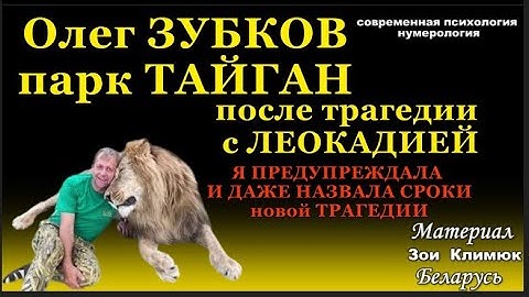 Лев напал  на Олега ЗУБКОВА. Я предупреждала о трагедии и назвала сроки Парк Тайган