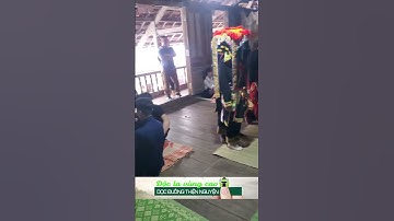 Đám cưới vùng cao khác gì dưới xuôi #shorts  #trongheovungcao #quycomcothit