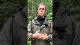 Чёрная метка Путину - Кирилл Дмитриев на переговорах