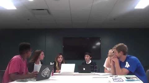 Everest Simulation Video