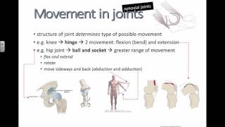 Movement in Joints (IB Biology)
Movement in Joints (IB Biology) Movement in Joints (IB Biology)