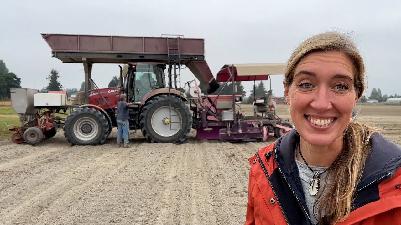 Tulip Bulb Planting at RoozenGaarde - YouTube