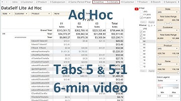 DataSelf Light - Ad Hoc Report - Part 1