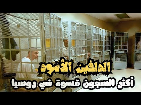 أشد سجون روسيا قسو ة سجن الدلفين الأسود