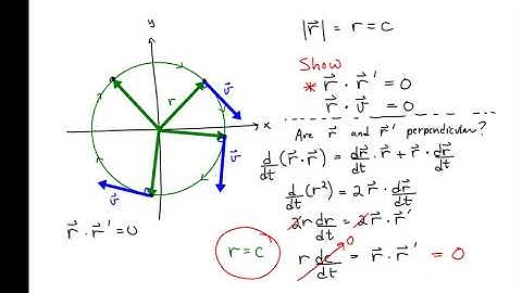 Velocity is Perpendicular to a Position Function of Constant Magnitude