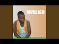 Mveliso (Phendula)