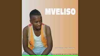 Mveliso (Phendula)