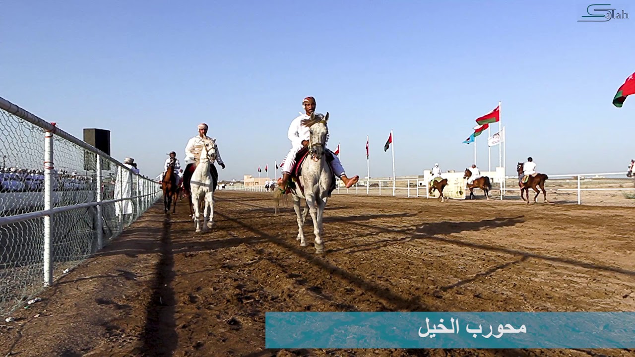 المهرجان التقليدي بمحافظة الداخلية