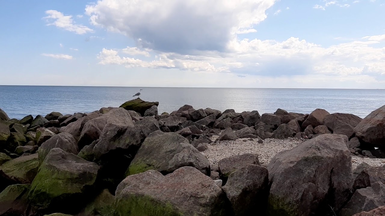 Виста азовское море