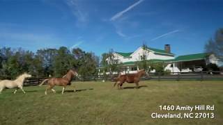 1460 AMITY HILL RD video tour