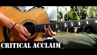 Video thumbnail of "Avenged Sevenfold - Critical Acclaim Guitar Solo Cover On Acoustic"