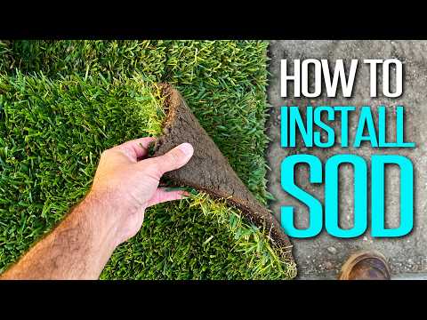 Sod Installation Guide — Dallas TX video thumbnail