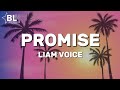 Liam voice  promise english translation lyrics