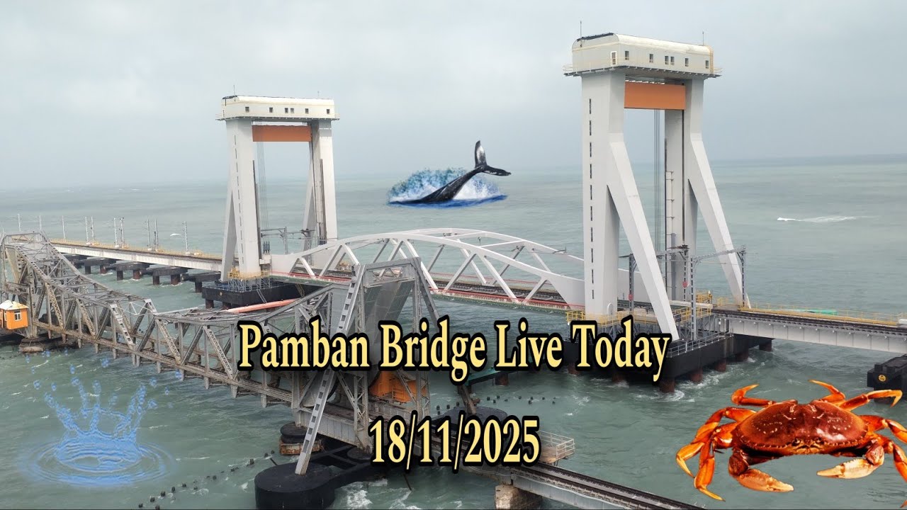 Pamban Bridge Live Today ...18/11/2025 