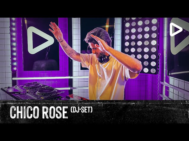 Chico - Rose