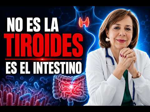 ¿Por qué tu hipotiroidismo NO mejora? El problema está en tu intestino