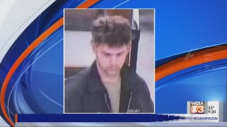 Manhunt Underway Vermilion County