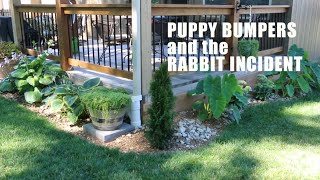 PUPPY BUMPERS
