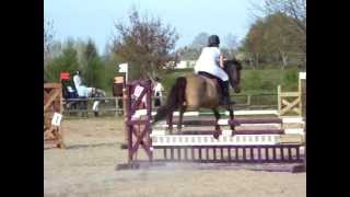 CSO en bitless du 21/04/13 à Villevèque avec Odyssée