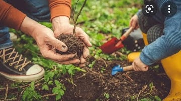 Community Project Proposal