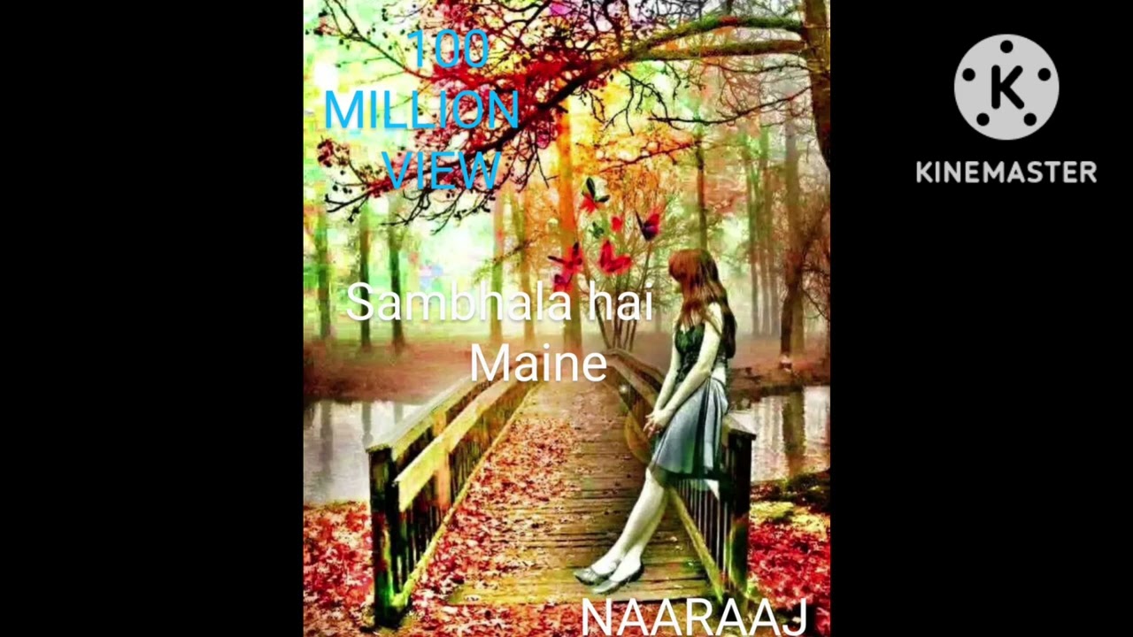 Sambhala Hai Maine - Naaraaz (1994) mp3 songs