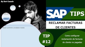 SAP TIP #12 - RECLAMACIONES de FACTURAS CLIENTE NO PAGADAS