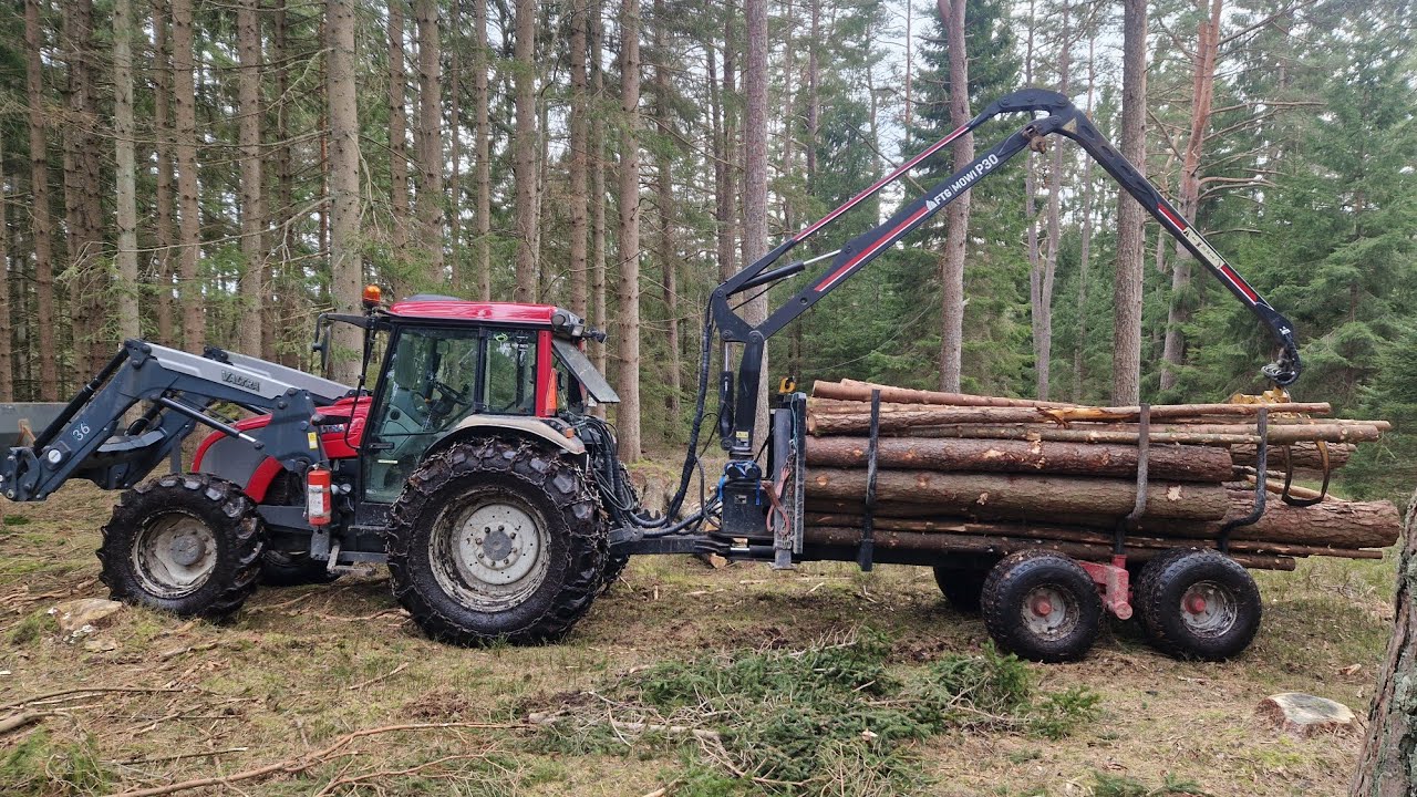 Skotar ett lass talltimmer & barrmassaved!