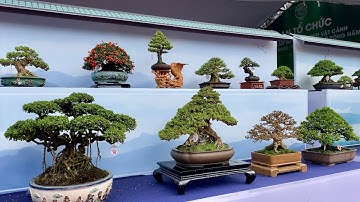 Những Tác phẩm dự thi tại Triển lãm SVC khu vực Miền Trung - Tây Nguyên.