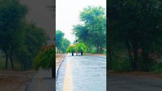 village life#villagelife #nature #hardwork #desilife#viralshorts