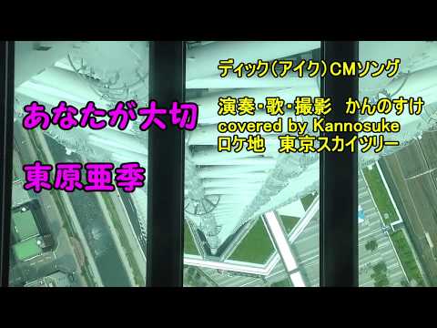 あなたが大切　東原亜季　ディック（アイク）CM　covered by Kannosuke