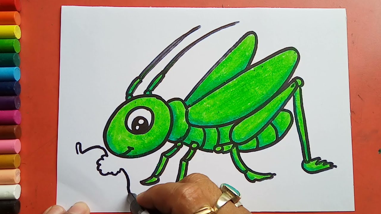 How to Draw a Grasshopper | A Step-by-Step Tutorial for Kids