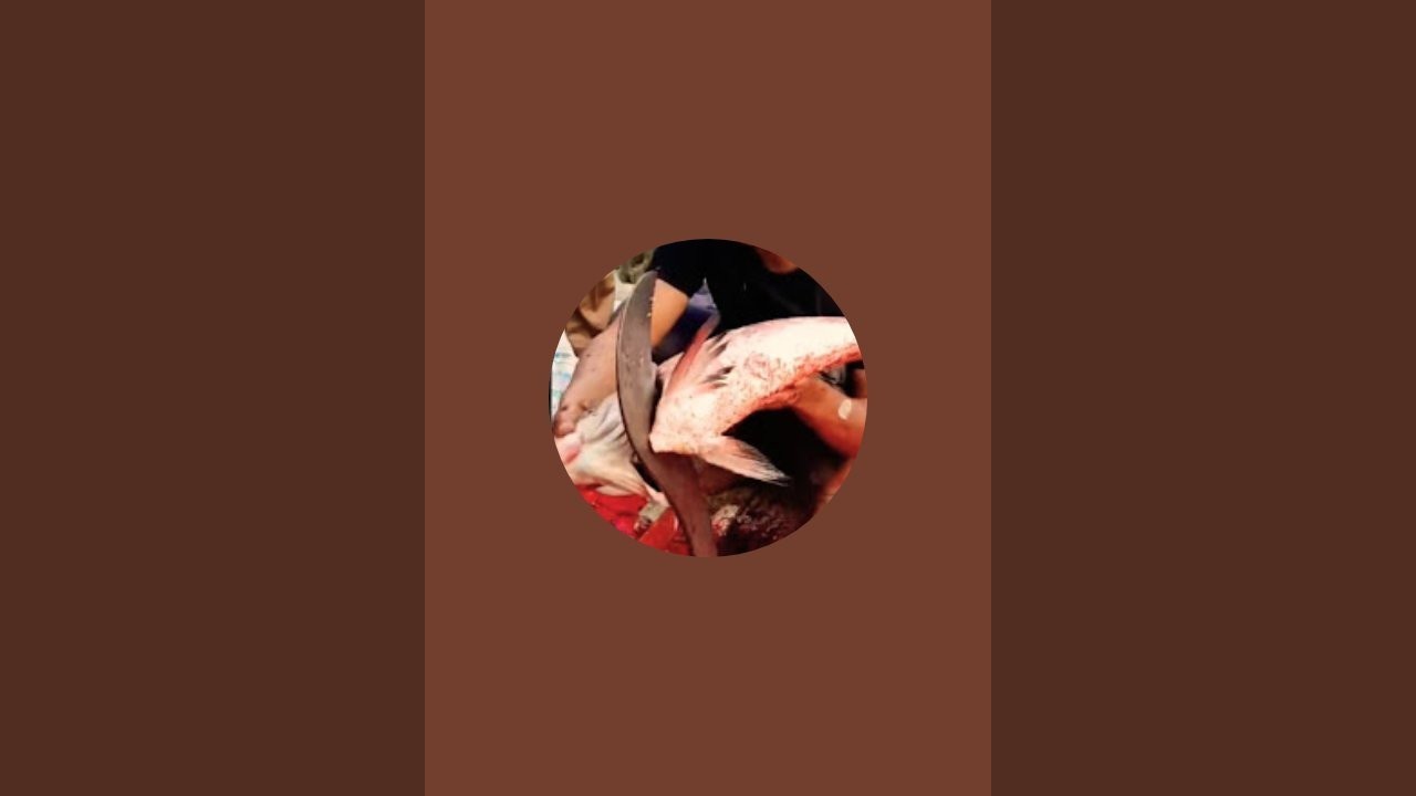 BD Fish Cutting  is live