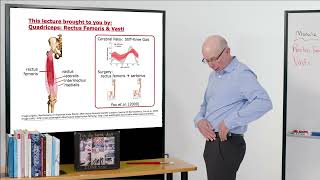 Biomechanics of Movement | Muscle of the Day: Quads