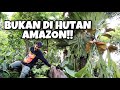 Amazon van java pesona keindahan forestscape aroid  ep 79