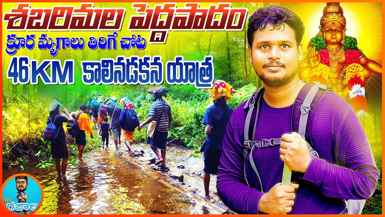 శబరిమల పెద్ద పాదం ట్రెక్ 2025లో కొత్తగా వచ్చిన రూల్స్-దట్టమైన అడవిలో 46km నడక-Sabarimala Peddapadam