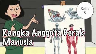 Kelas 05 - Tema 6 Subtema 1 - IPA (Rangka Anggota Gerak) | Video Pendidikan Indonesia Kelas 05 - Tema 6 Subtema 1 - IPA (Rangka Anggota Gerak) | Video Pendidikan Indonesia