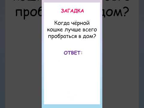 Загадка про черную кошку!