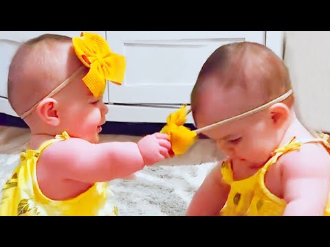 99 % Lose this TRY NOT TO LAUGH Challenge | Funny Videos 2024