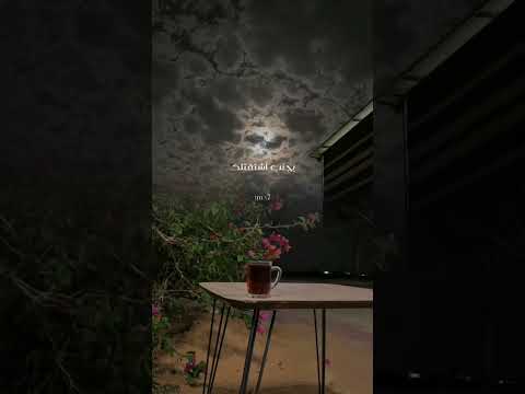 أفنيت عمري ماقدرت أتجاهلك