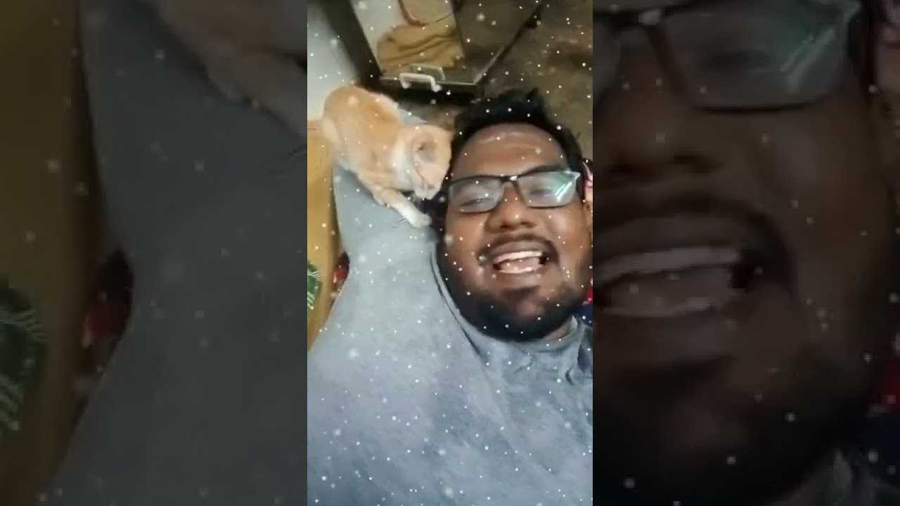 Non ego Love 💕 cute cat 🐈😺🐈 Gundumani da