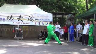 香港功夫表演20160717危鳳池2