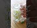 【ドクダミが苦手？！】花化粧水の作り方#shorts