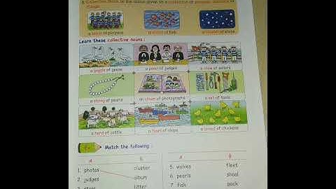 4th standard grammar...