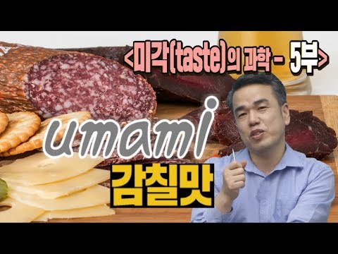 편식방_최낙언,<strong>미각</strong>(taste)의 과학_5부.감칠맛_황차클럽