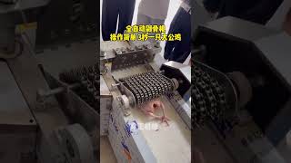 Bone chopper" "Bone cutter" "Fully automatic bone chopper"